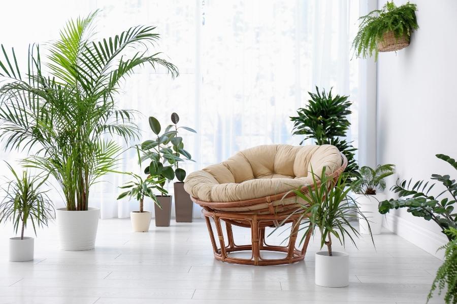 https://plantersetcetera.com/