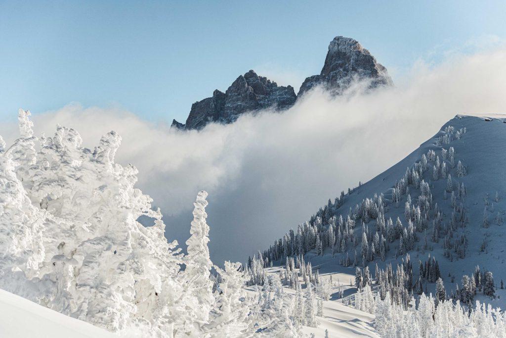 https://www.grandtarghee.com/