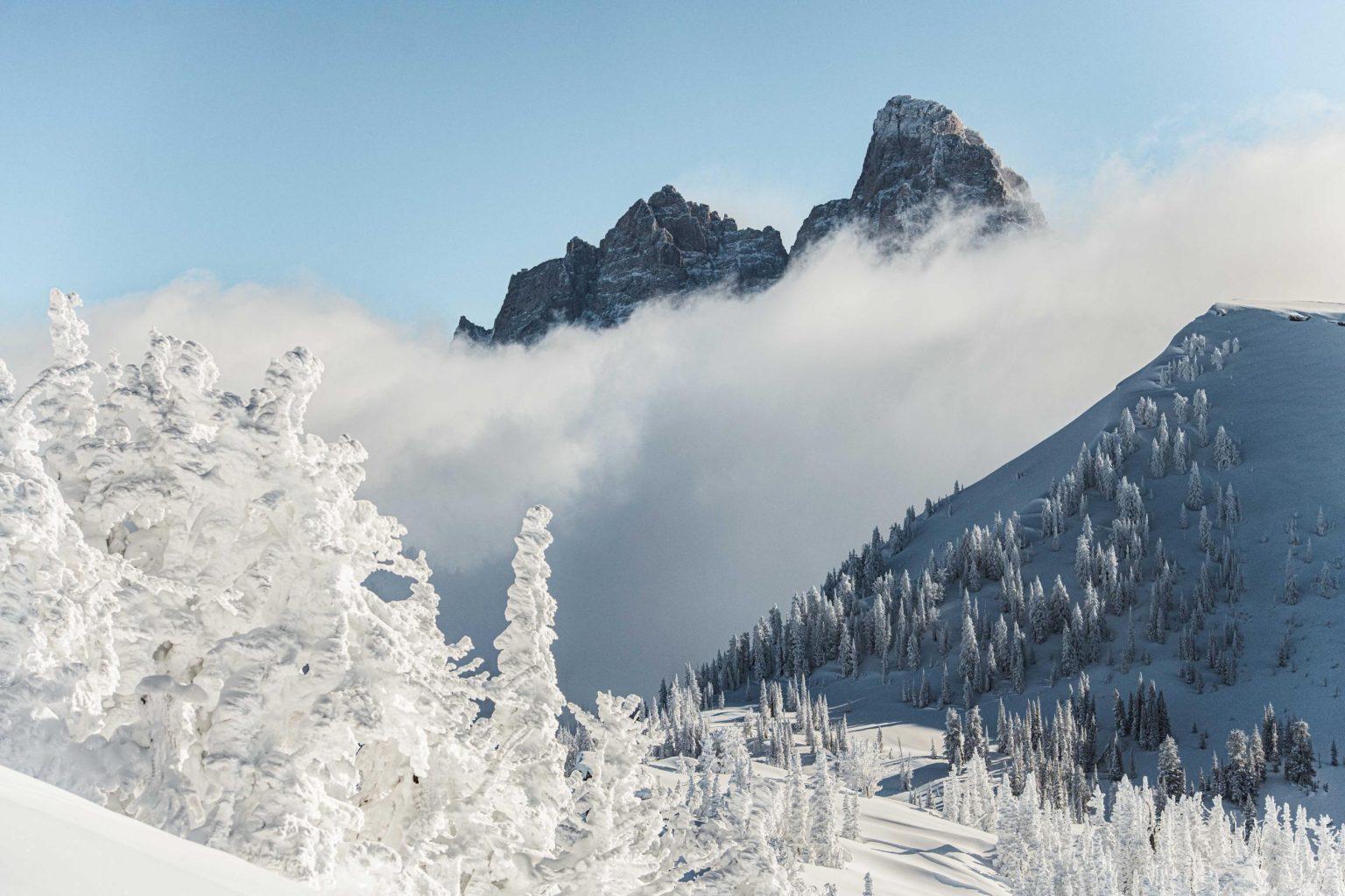https://www.grandtarghee.com/