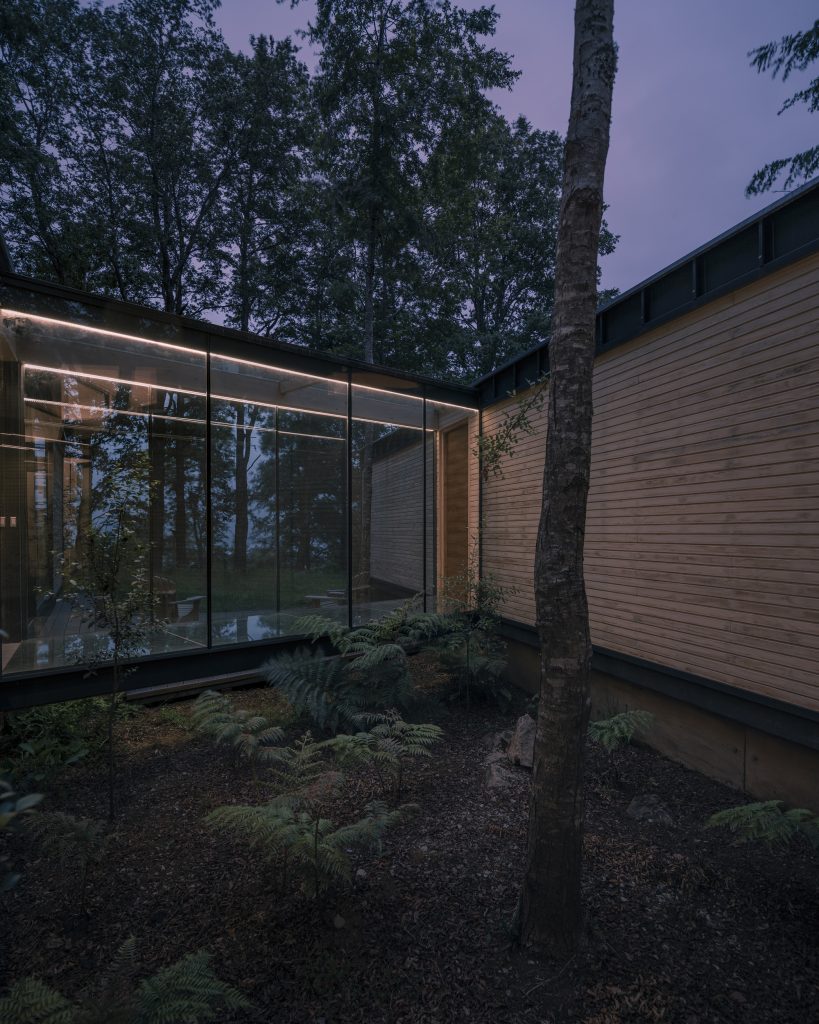 Forest House – Osvetljen zastekljeni prehod v večernem gozdu.