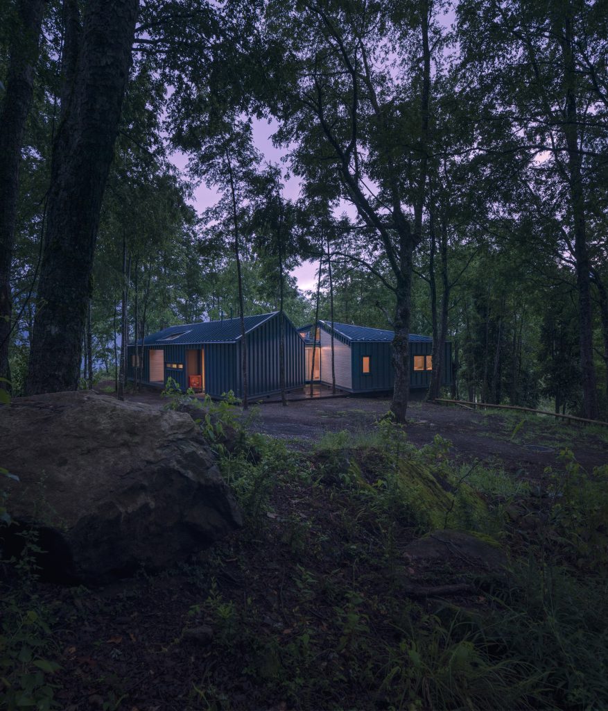Forest House – Prihod do hiše med drevesi ob mraku.