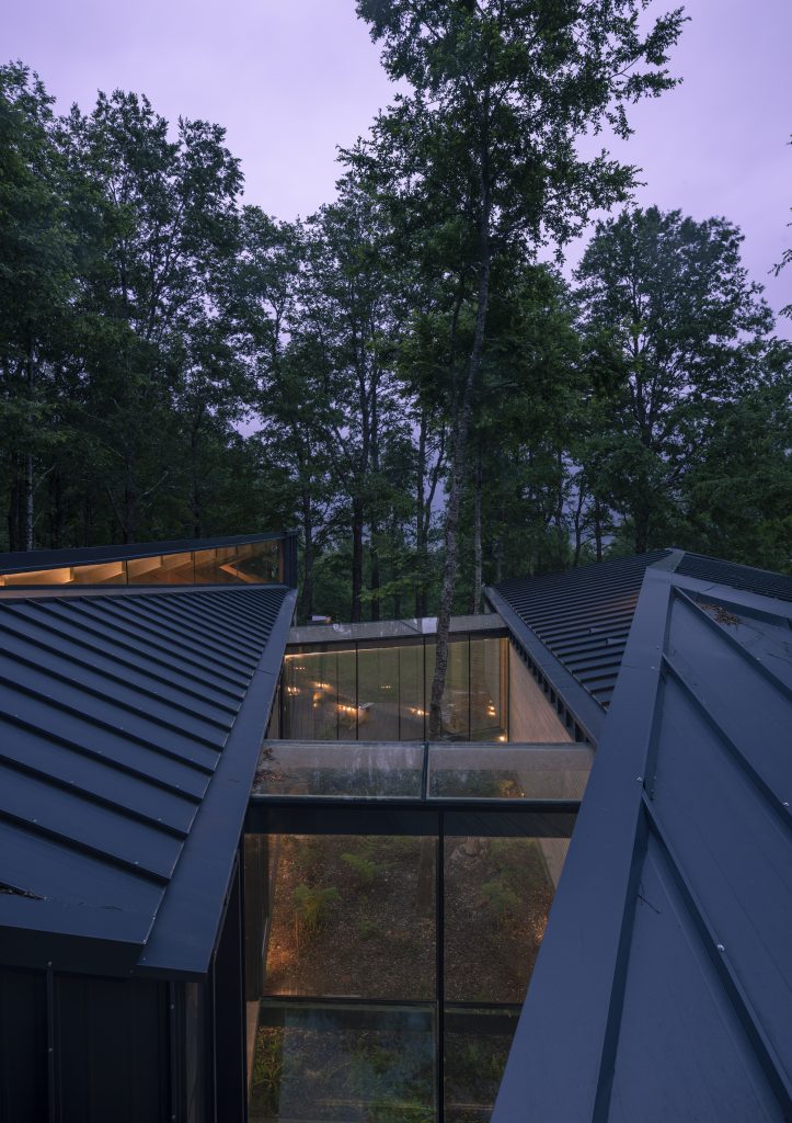 Forest House – Zasteklitev med strešinami s pogledom proti krošnjam.