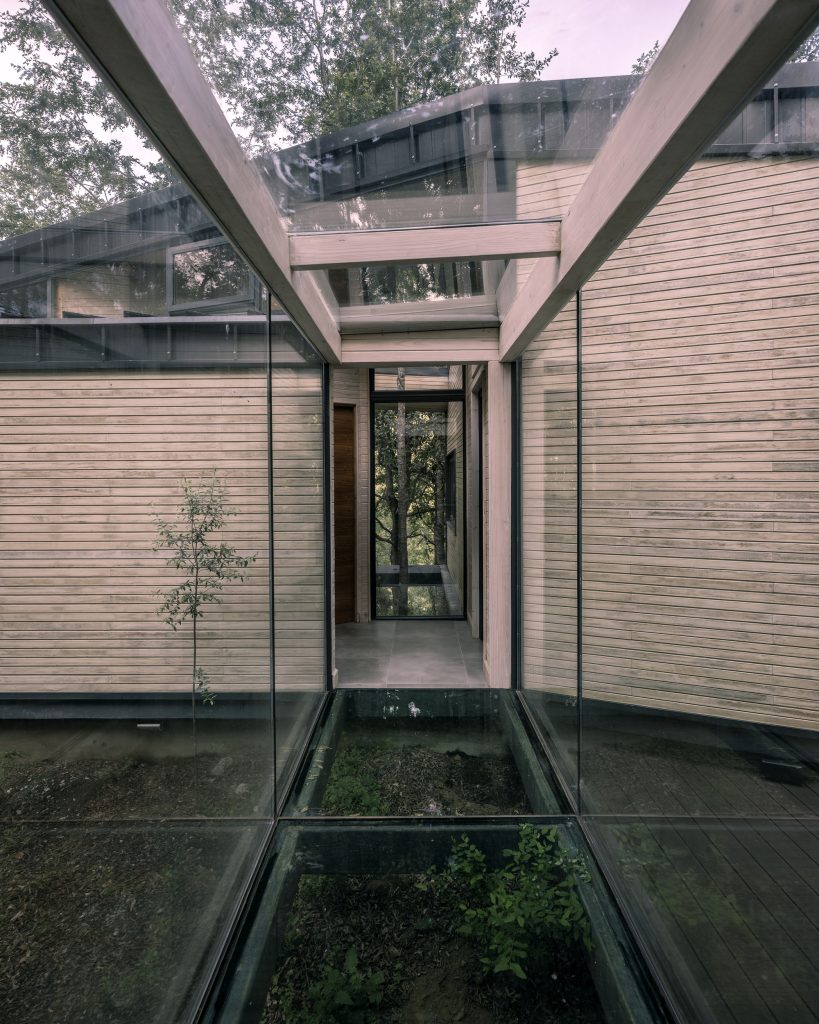 Forest House – Zastekljen povezovalni prehod nad gozdnimi tlemi.