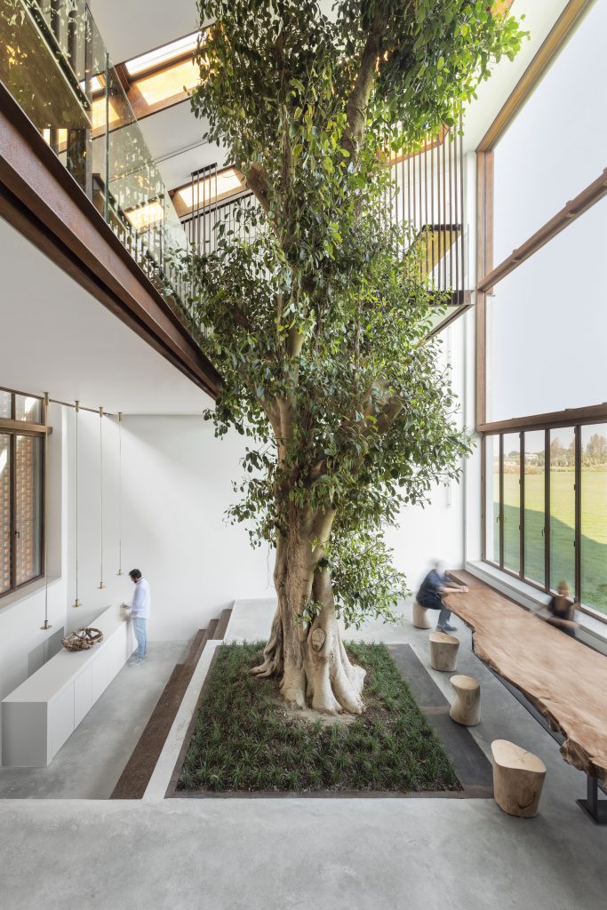 Greenary Residence – Fikus ob visoki zasteklitvi in stopničastih bivalnih prostorih.