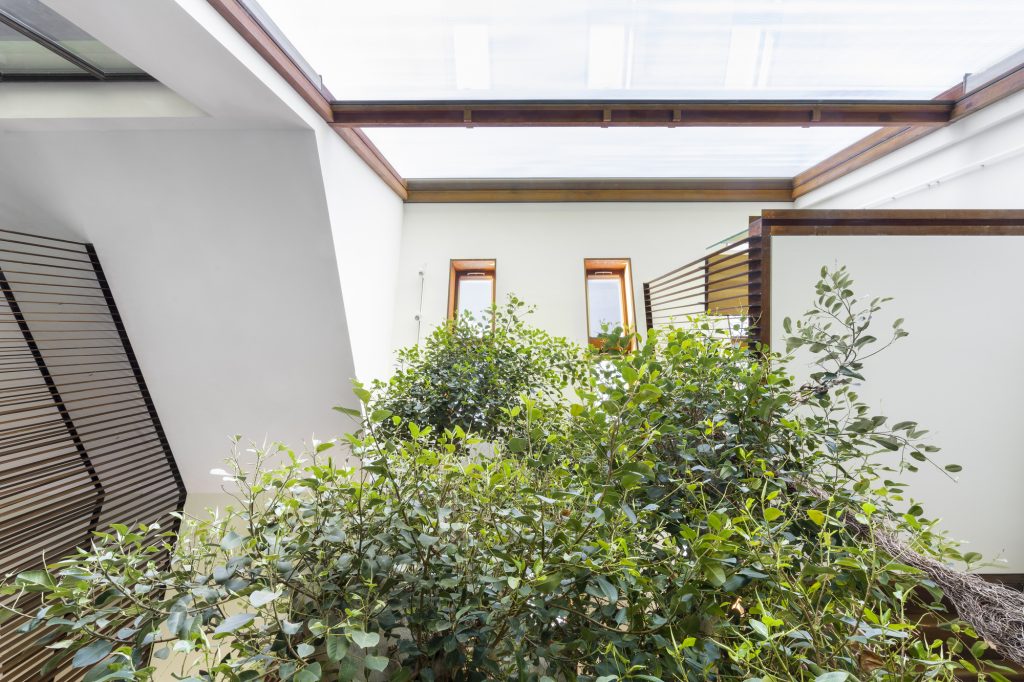 Greenary Residence – Krošnja pod odprtino v strehi.