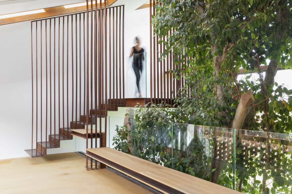 Greenary Residence – Prehod ob krošnji in leseni ograji.