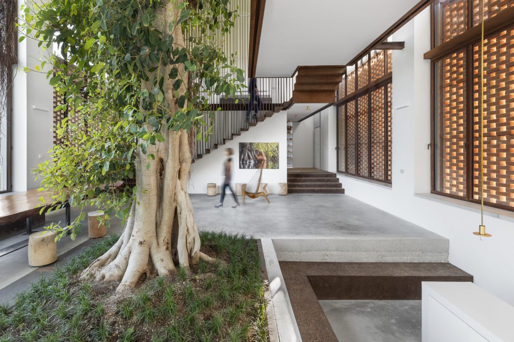 Greenary Residence – Različni bivalni nivoji okoli debla fikusa.