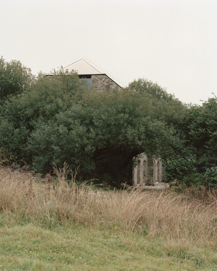 Redhill Barn – Stavba in kamniti zidovi med zaraščenim zelenjem.